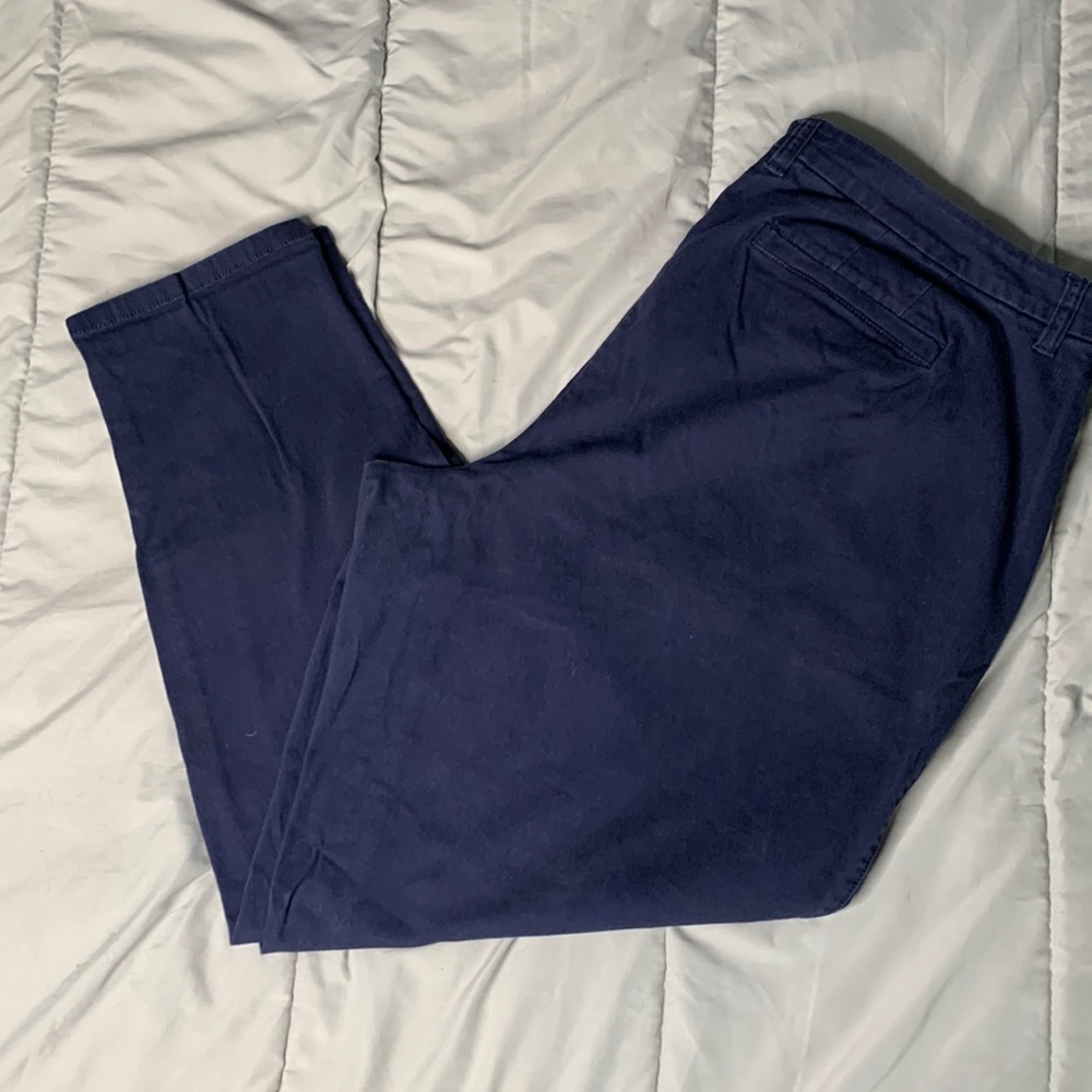 Plus size Navy ankle pants